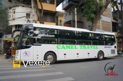 Xe Camel Travel Bên hông xe Limousine 32 giường