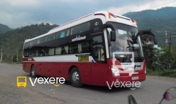 Thành Bưởi bus - VeXeRe.com