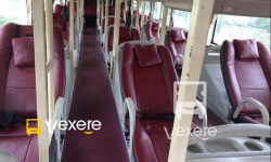 TM Camel bus - VeXeRe.com