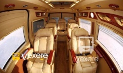 Green Limousine bus - VeXeRe.com