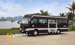 Rosa Eco Bus bus - VeXeRe.com