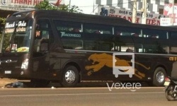 Thanh Trân bus - VeXeRe.com
