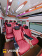 Xe Thanh Lịch Ghế ngồi Limousine 12 chỗ