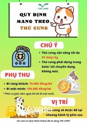 Xe Vie Limousine Tiện ích Limousine 9 chỗ
