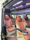 Xe Cúc Tùng Limousine Ghế ngồi Nội thất Limousine 11 chỗ