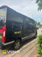 Xe Lovabus Mặt sau xe Bên hông xe Limousine 9 chỗ