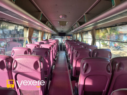 Xe Hội An Food Travel Ghế ngồi Nội thất Ghế ngồi 40 chỗ