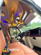 Xe Trùng Khánh Limousine undefined